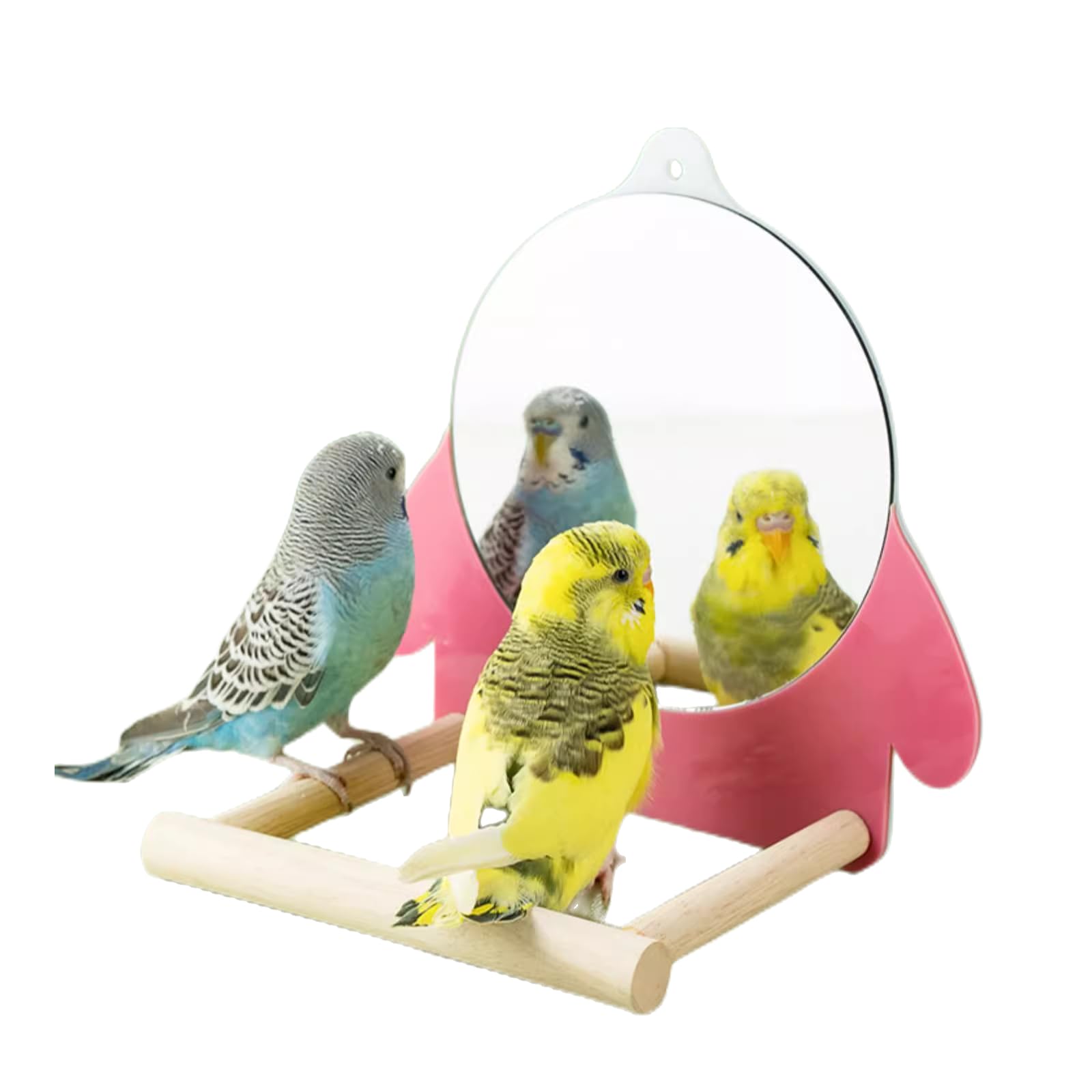 How Many Toys Does A Budgie Need? Enhance Your Budgie's Cage With