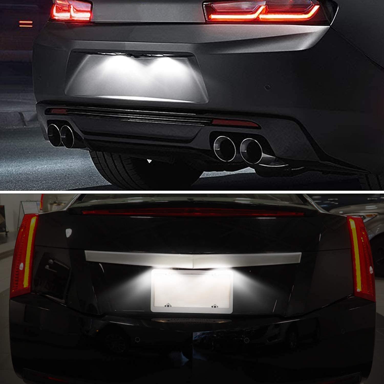 1 coppia LED Targa Luce Per Chevrolet Corvette Camaro Cruze SS Impala per Opel Mokka Insignia per Cadillac ATS CTS XTS SRX per Buick GMC (PZ055)