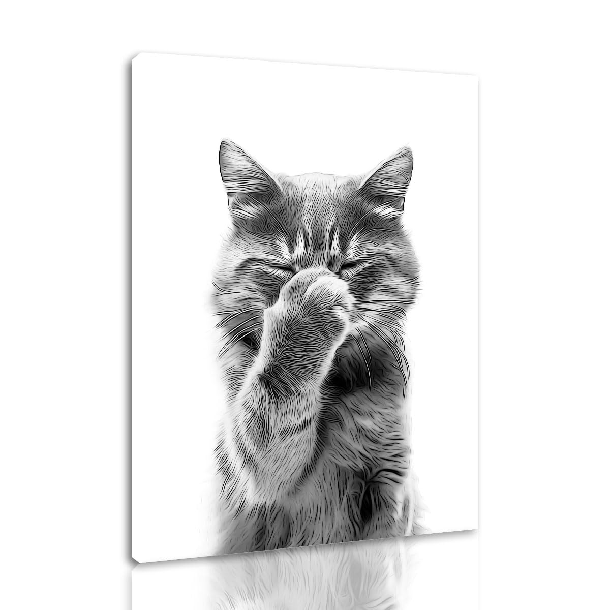 TANWYTQFAEH Framed Funny Bathroom Wall Art Canvas Prints Artwork Black And White Cat Pictures Toilet For Walls Prints Animal Autumn Posters Decor (THE-0E, 30x40 cm, Framed)