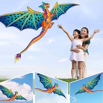 Amazon.co.jp: JunYii 大型3次元模様凧 500mの凧糸付き 子供