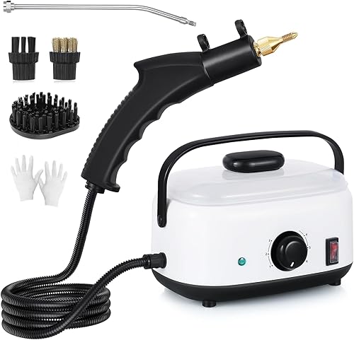 Limpiador de vapor de mano