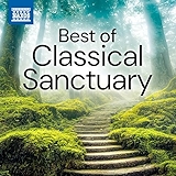 1. Flute Sonata in E-Flat Major, BWV 1031: II. Siciliano (Arr. for Piano by Ignaz Friedman)