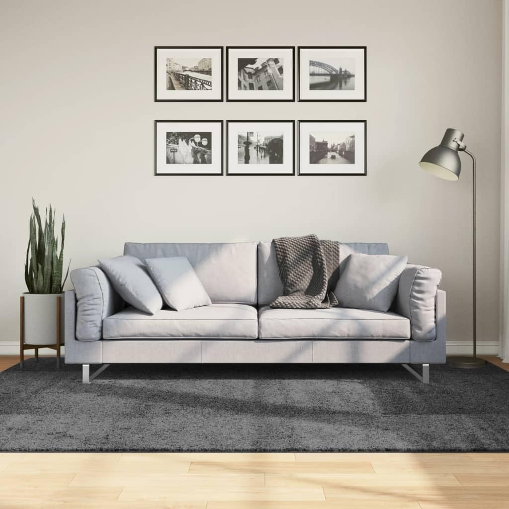 Tapis OVIEDO poils courts anthracite 160x230 grand tapis salon gris foncé rectangulaire