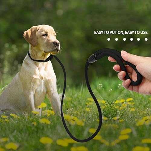 Guinzaglio da Passeggio Resistente con Collare