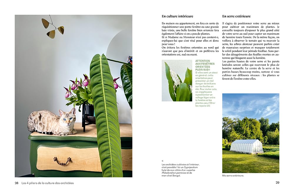 Orchidées - Guide de culture décomplexé