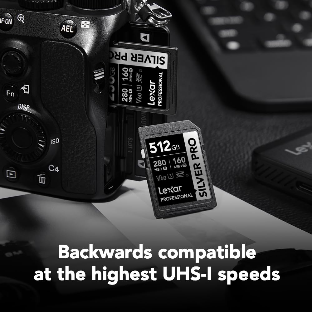 Lexar Scheda di memoria professionale Silver Pro da 512 GB, UHS-II, C10, U3, V60, Full HD, 4K, fino a 280 MB/s in lettura, per fotografi professionisti, videografi e appassionati (LSDSIPR512G-BNNNU)