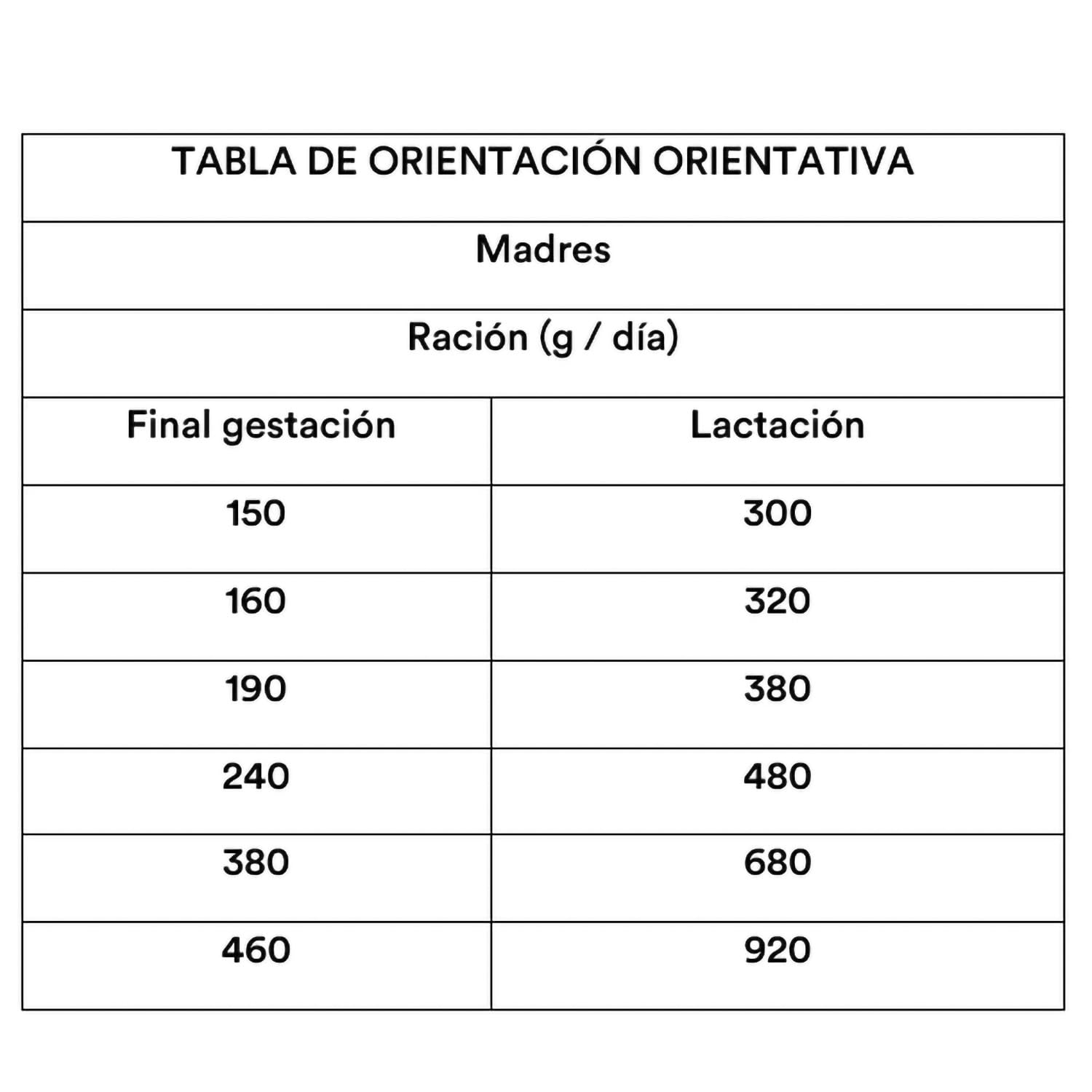 Dibaq Natural Moments Cachorro Razas Medianas, 15 kg