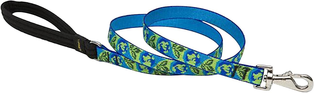 LupinePet Originals 3/4" Earth Day 4-Foot Padded Handle Leash for Medium and Larger Dogs