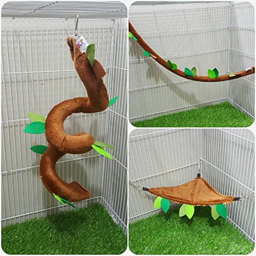 5 Pcs Kps Sugar Glider Hamster Squirrel Small Pet Chinchillas Cage Set Oval Or Egg Shape Forest Pattern Light Brown Color By Polar Bear's Republic (Get Free 1 Small Pet Treats) #TOP6