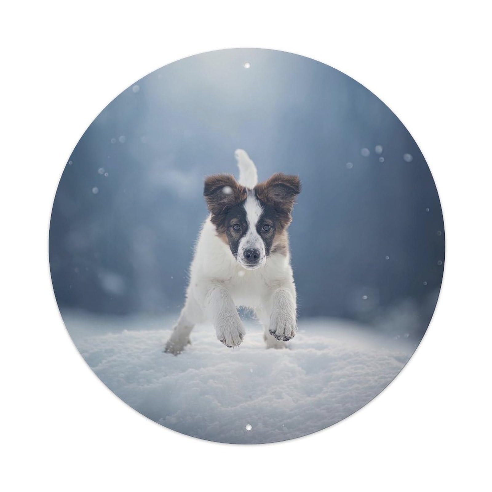 Cwbufd Vintage Style Animal Border Collie Winter Scene Snowy Forest Playful Puppy Dynamic Action Light Beam Vintage Metal Tin Sign Plaque Wall Decor For Cafe, Club Bar, Office, Garden Metal Poster 8X8inch