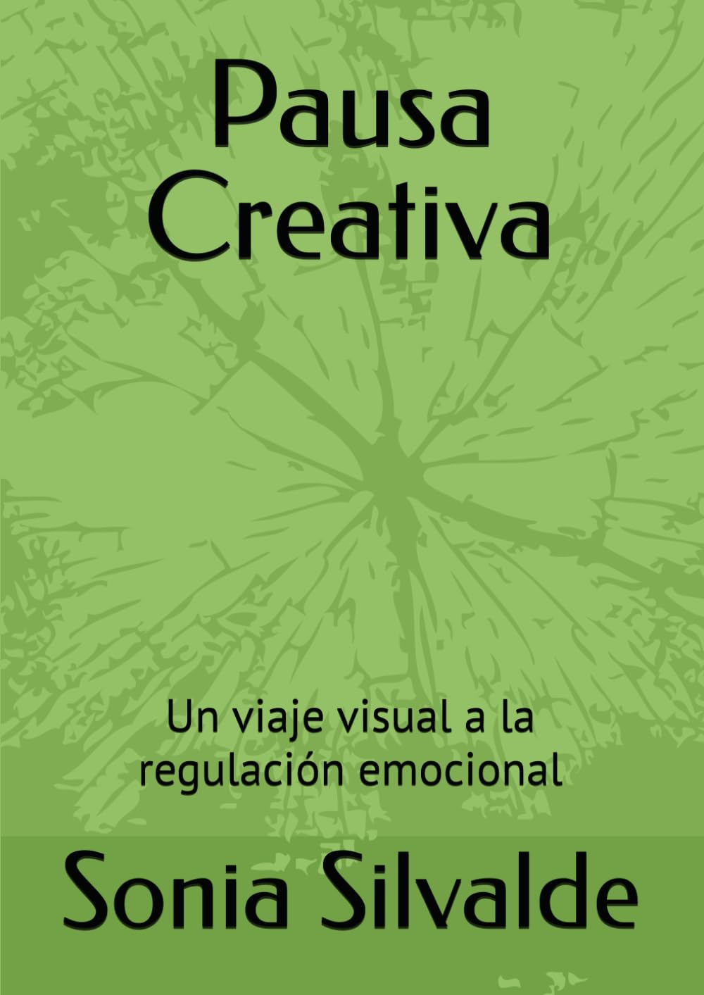 Pausa Creativa: Un viaje visual a la regulación emocional