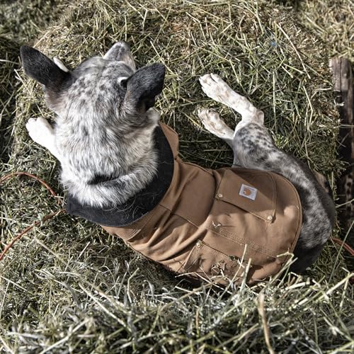 Carhartt Firm Duck Isolierter Hundemantel, Armeegrün/Messing, Größe M