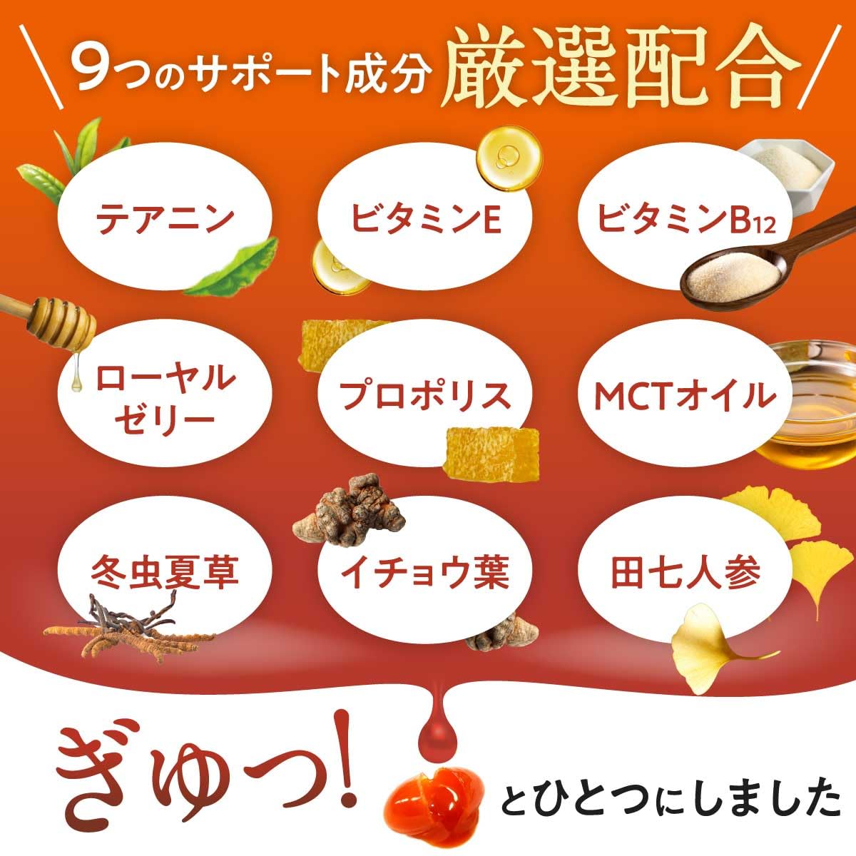 Amazon.co.jp: 【獣医師監修】 うちの脳活サポート サプリメント