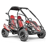 Buggy 200 cc 2-Sitzer für Kinder von 10 bis 16 Jahren, XTRM 81 (rot)
