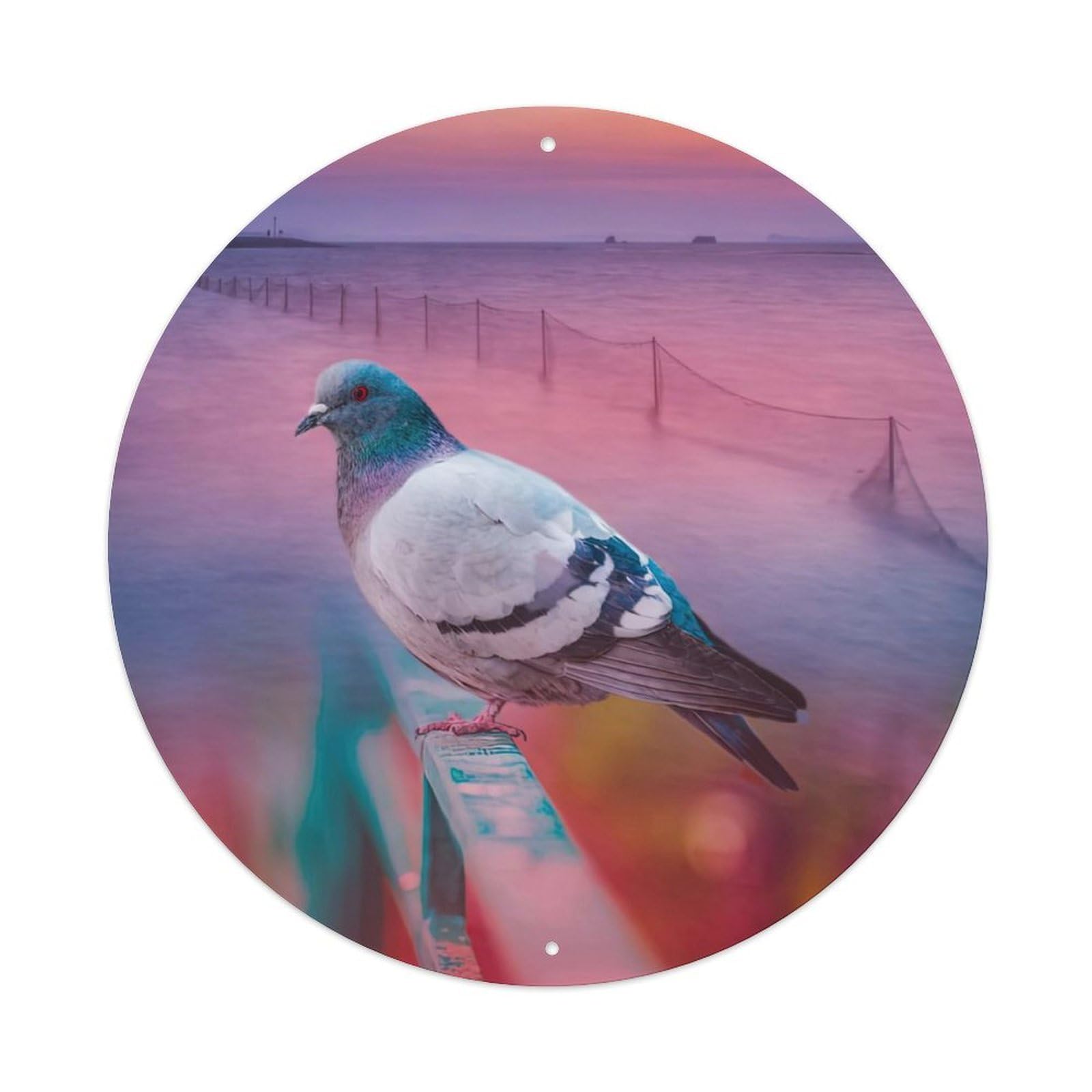 Animal Carrier Pigeons on The Beach Metal Tin Sign