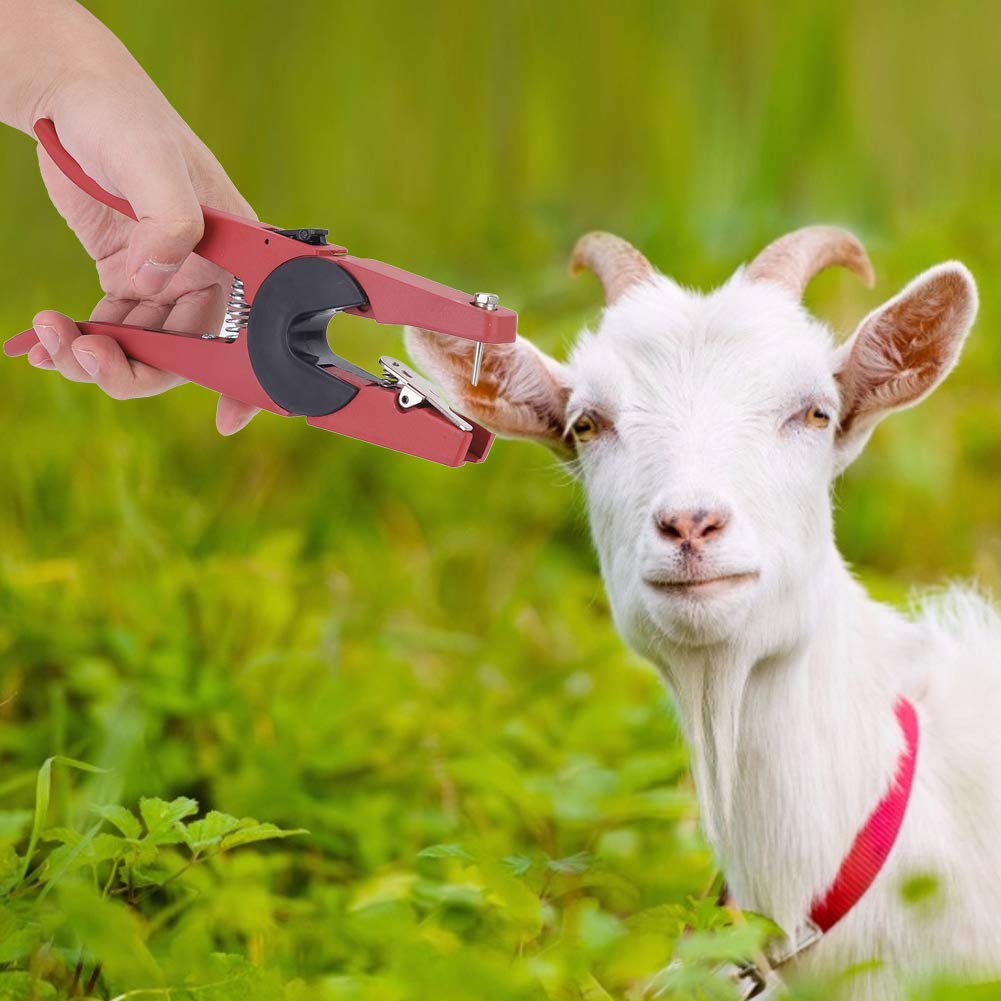 CHICIRIS Étiquette D'oreille En Acier Inoxydable, 2 Pièces