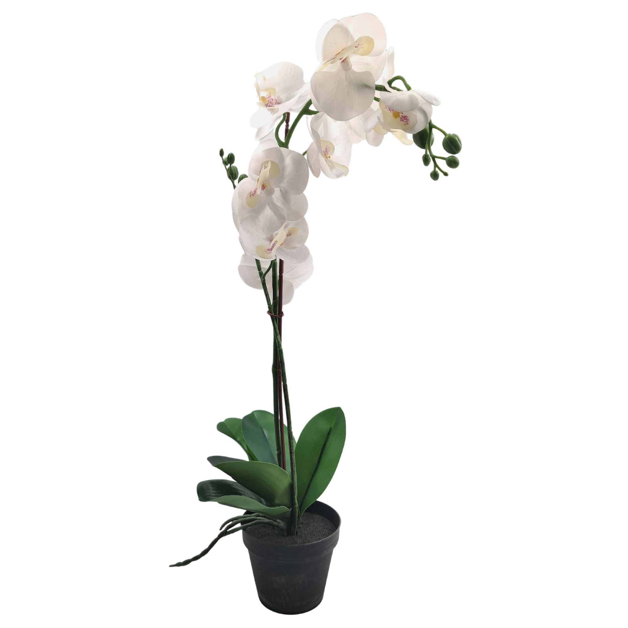 Kraft Seeds by 10CLUB Artificial Orchid Potted Plant | 1Pc | Large - White | Houseplants | Faux Flowers for Home Décor (B0D37KS4P3) Amazon Price History, Amazon Price Tracker