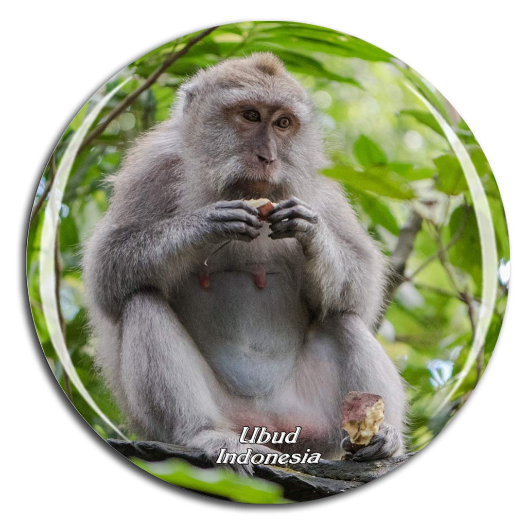 Weekino Magnet-1288 Indonesia Ubud Monkey Forest Bali Fridge Magnet 3D Crystal Glass Tourist City Travel Souvenir Collection Gift Strong Refrigerator Sticker