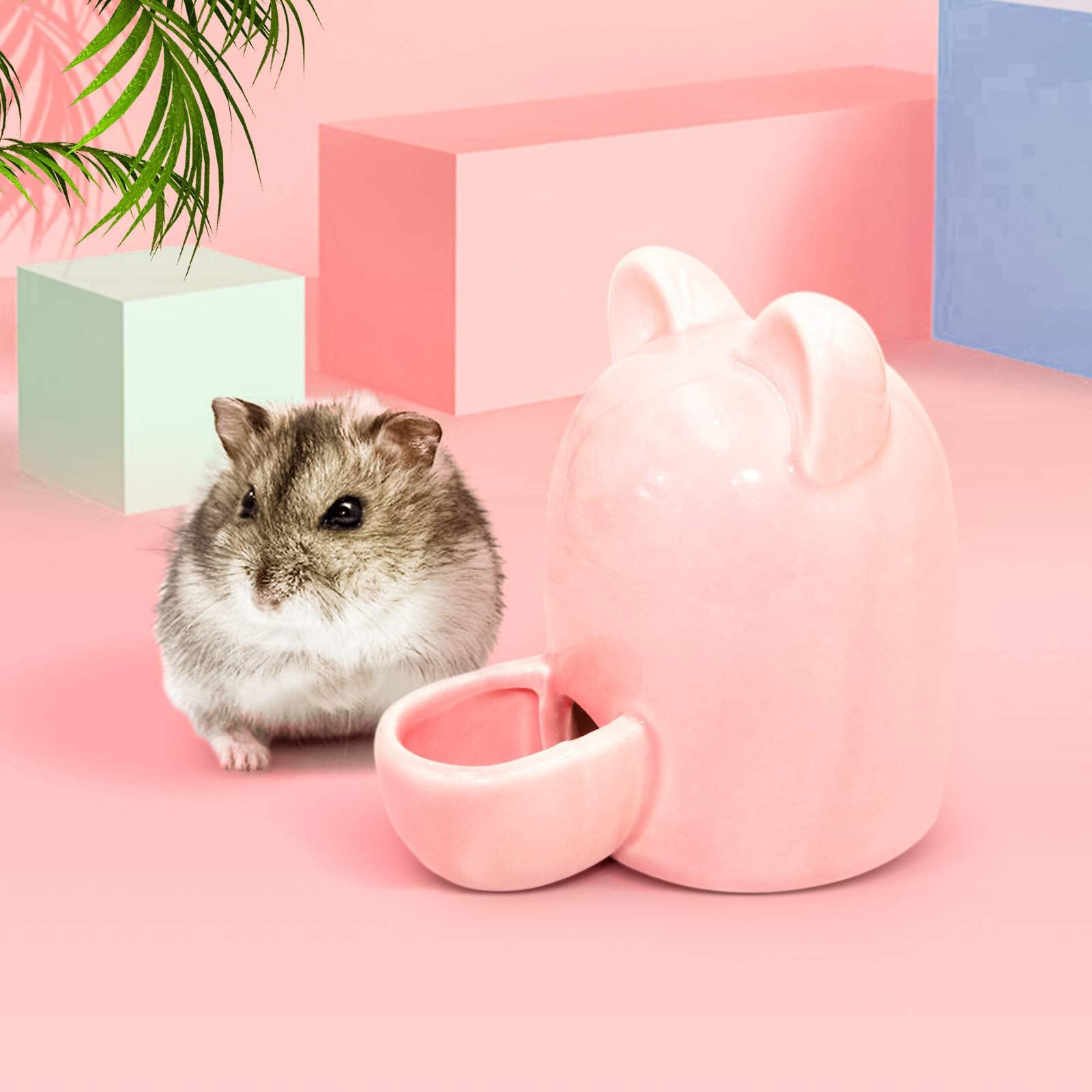 Bottiglia d'Acqua e Ciotola in Ceramica per Criceti, Silenziosa e Stabile per Cincillà, Cavie, Ricci, Uccelli (Rosa, 300ml)