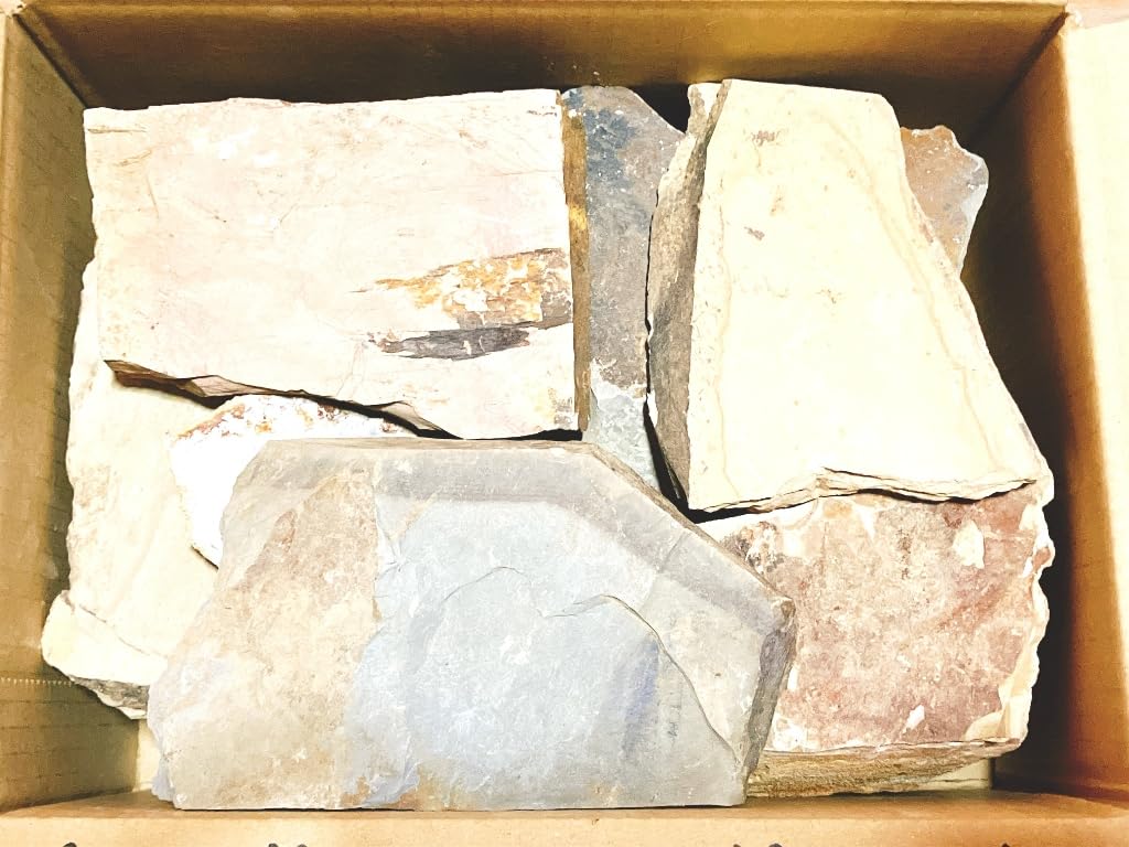 Amazon.co.jp: 天然砥石 山城銘砥 原石 奥殿 中山 大突 菖蒲谷