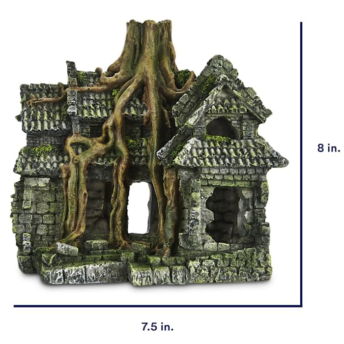 Amazon.com: imagitarium by Petco Resin Cambodian Ruin Aquatic