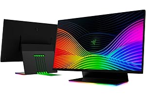 Razer Raptor 27" Gaming Monitor| WQHD Display, 144Hz