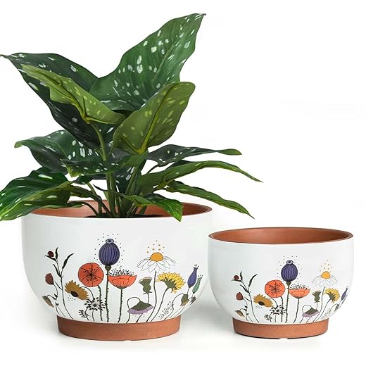 YBX 8 Inch & 6 Inch Terracotta Plant Pots, Flower Pots for Indoor Plants with Drainage, Planters with Floral Accent for Indoor Plants (French Country)