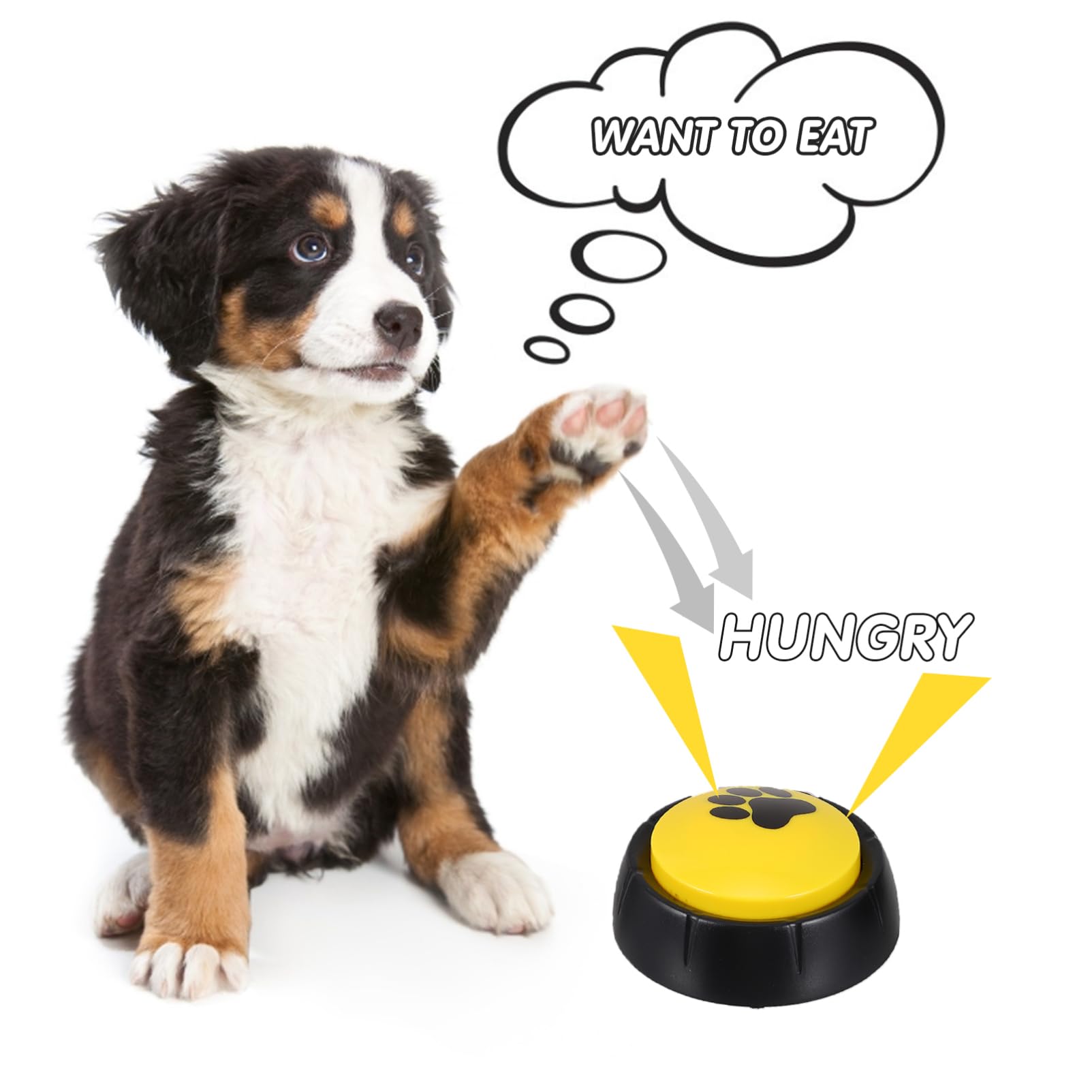 Ausilio per L'addestramento del Cane Confezione da 4 Pulsanti di Registrazione Vocale per Animali Domestici per Distrarsi E Creare