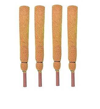 KURUPPATH Group Coco Pole - Coir Stick (Brown, 2 FEET) 61cm - 4 Piece