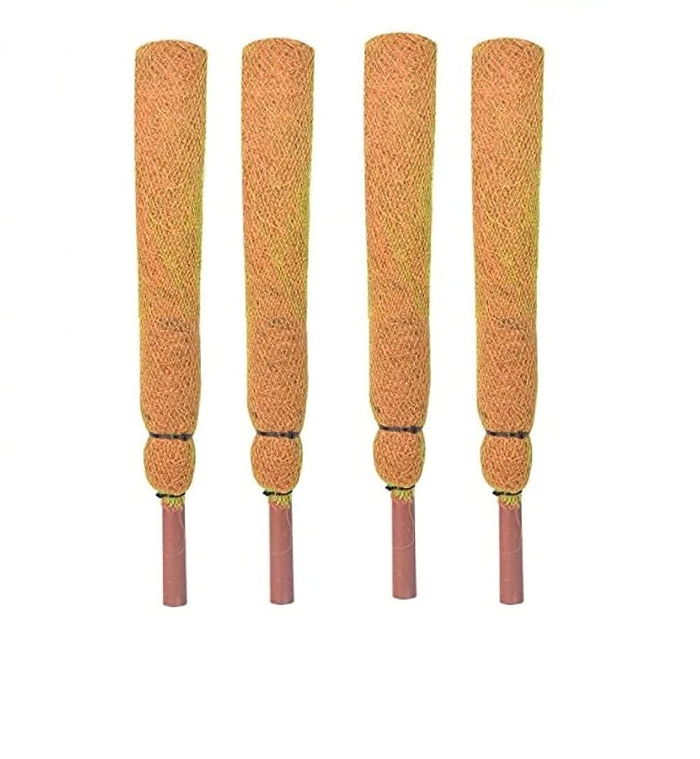 KURUPPATH Group Coco Pole - Coir Stick (Brown, 2 FEET) 61cm - 4 Piece (B09DKGK8R6) Amazon Price History, Amazon Price Tracker