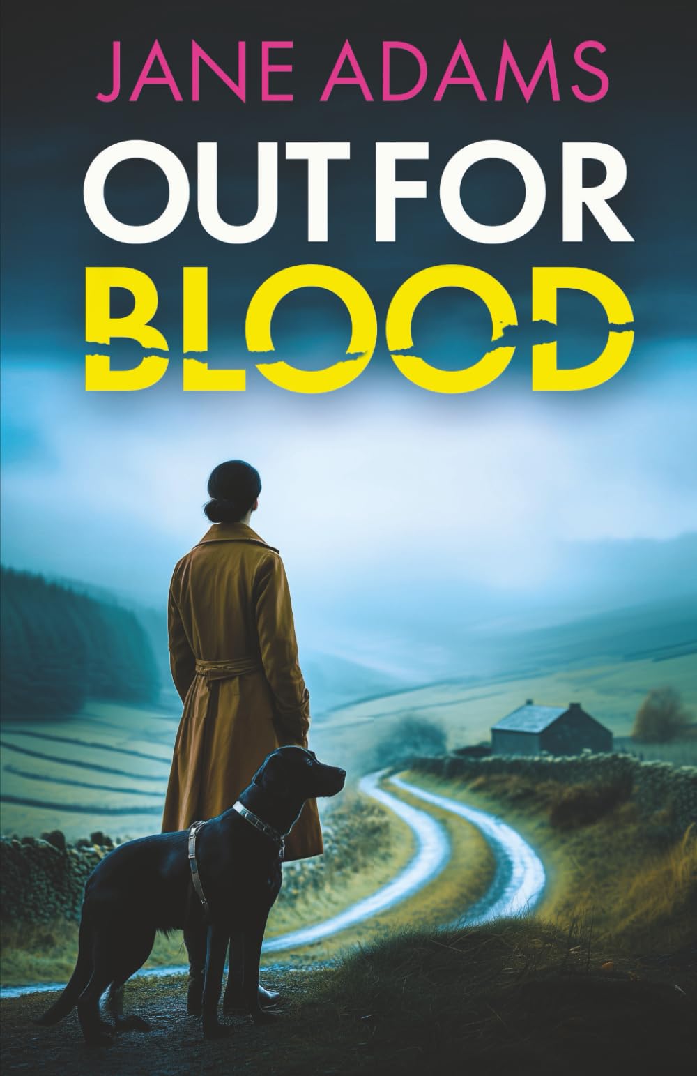 OUT FOR BLOOD an absolutely gripping mystery thriller full of twists (Naomi Blake Mysteries)