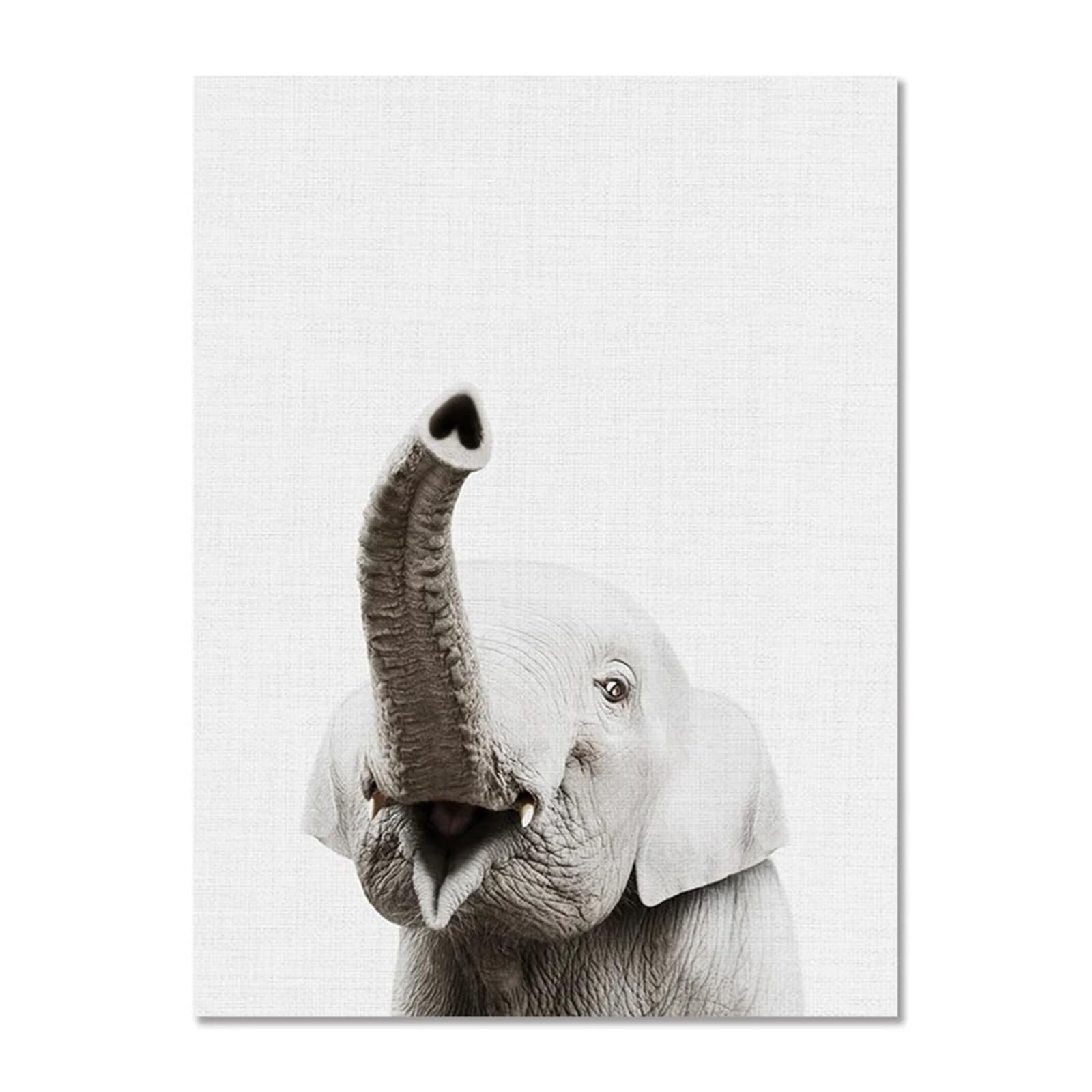 XENITE Wall Art Canvas Prints Canvas Painting Elephant Hippopotamus Giraffe Lion Animal Canvas Painting Decorative Pictures For Living Room Wall Decor(A,50x70cm)
