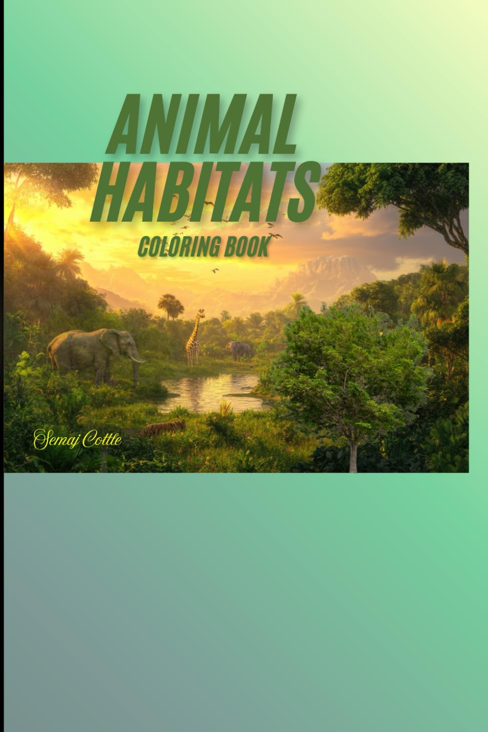 Animal Habitats Coloring Book