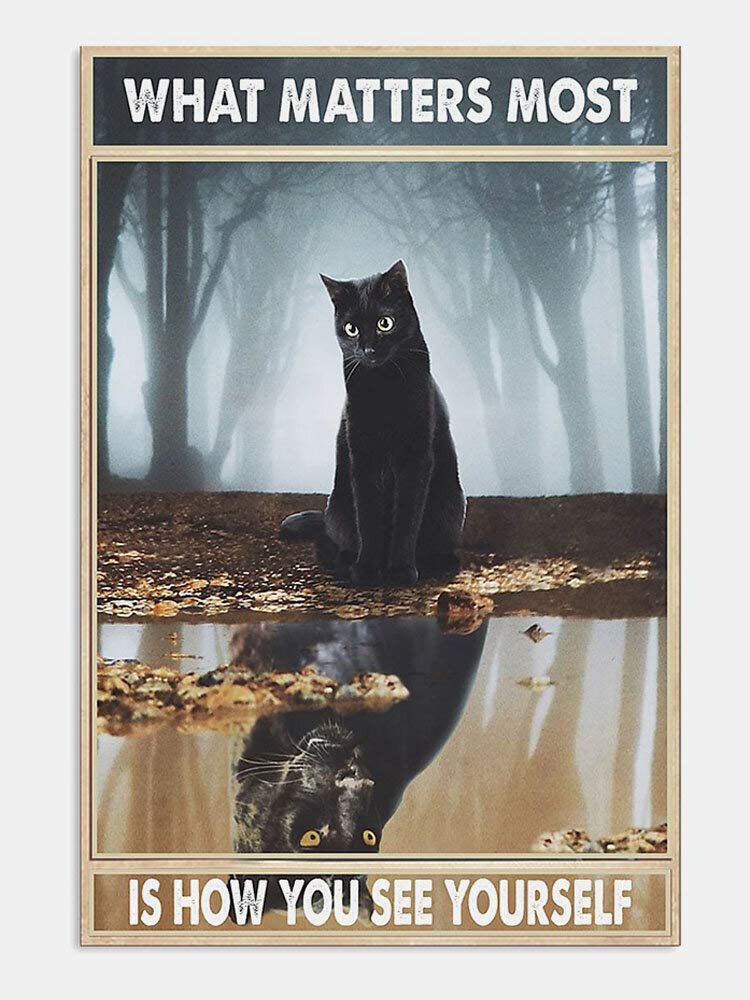 JIMOWANG Black Cat Vintage Metal Signs for Cafes Bars Pubs Shop Wall Decorative Funny Retro Signs 8x12 Inch