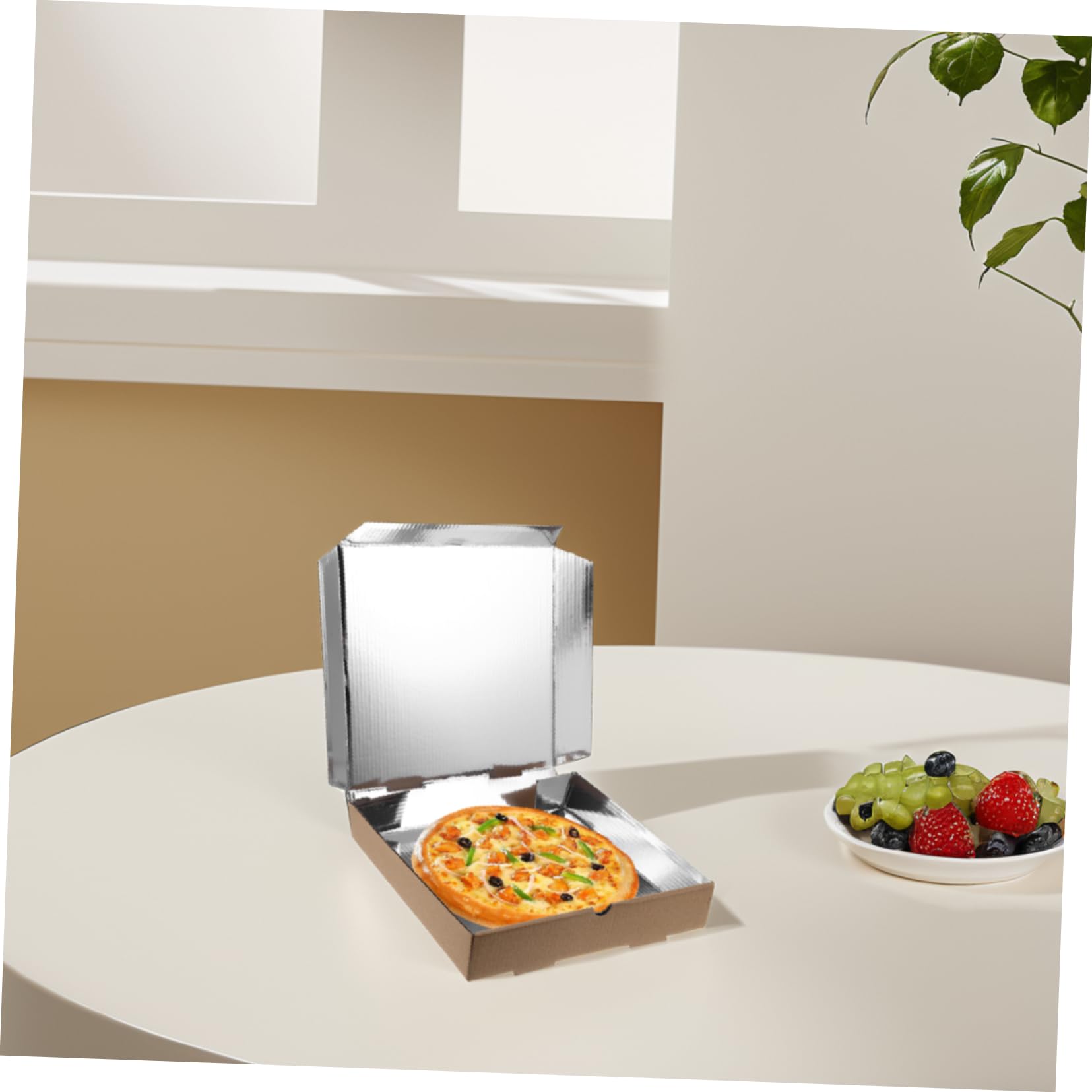 COLLBATH Caja de Pizza Aislamiento de 9 Pulgadas 10 Piezas Aluminio | Formato Cuadrado 24x24x4,5 Cm, para Viaje y Fiestas, Apta para Mini Pies