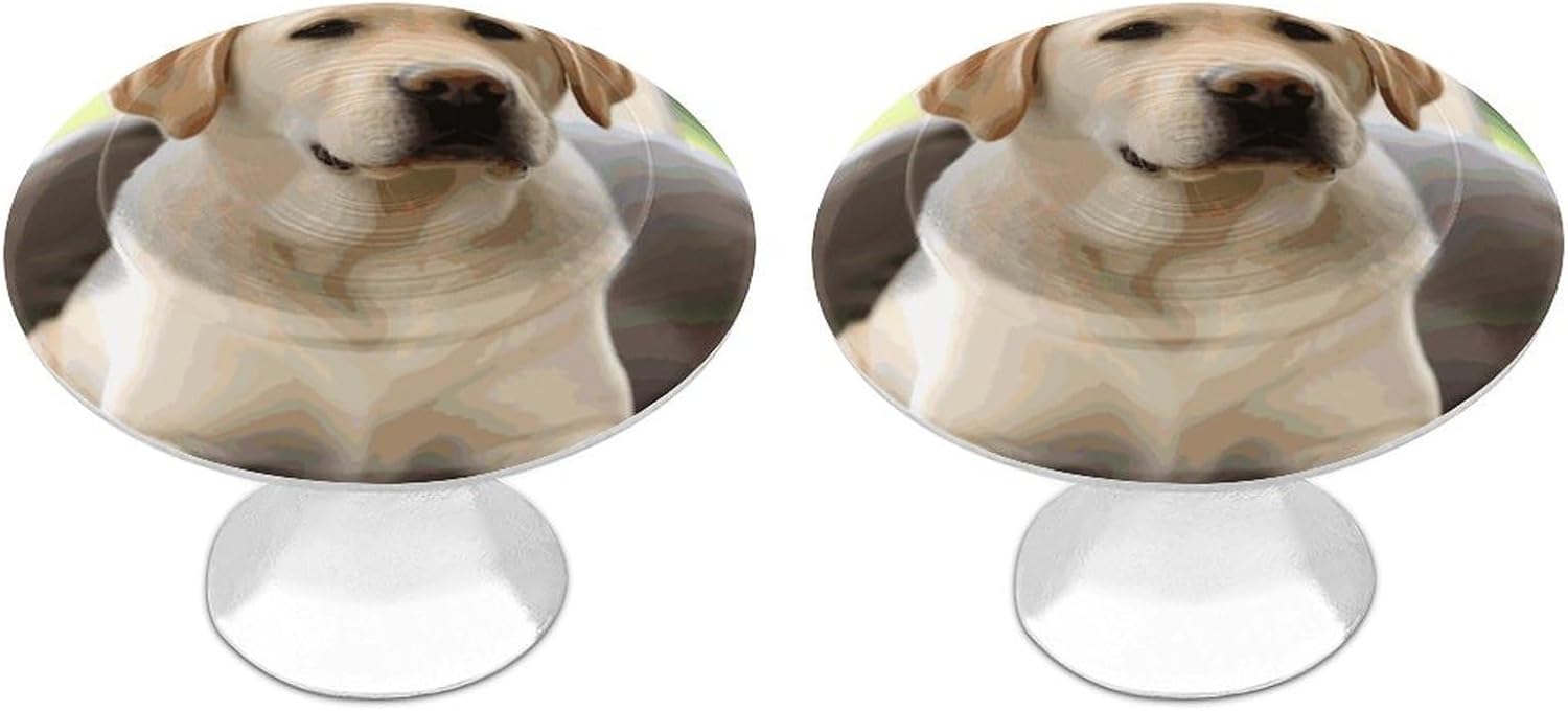 Cabinet Handles Round Drawer Pulls Cute Labrador Dog Dresser Knobs for Cabinets and Drawers Handle Kitchen Cabinet Pulls for Bathroom Cupboard Drawers Cabinet Pulls for Kitchen Door