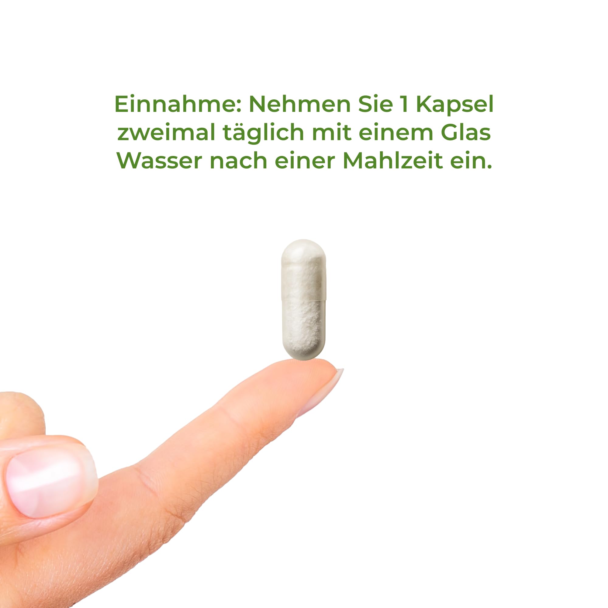 Magnesium Komplex MagNityX15 15 Magnesiumverbindungen inkl. Magnesium Bisglycinat Citrat & Malat 400 mg pro Tagesdosis 120 Kapseln Muskeln Knochen Nerven Vitality Nutritionals by Vitamin Express