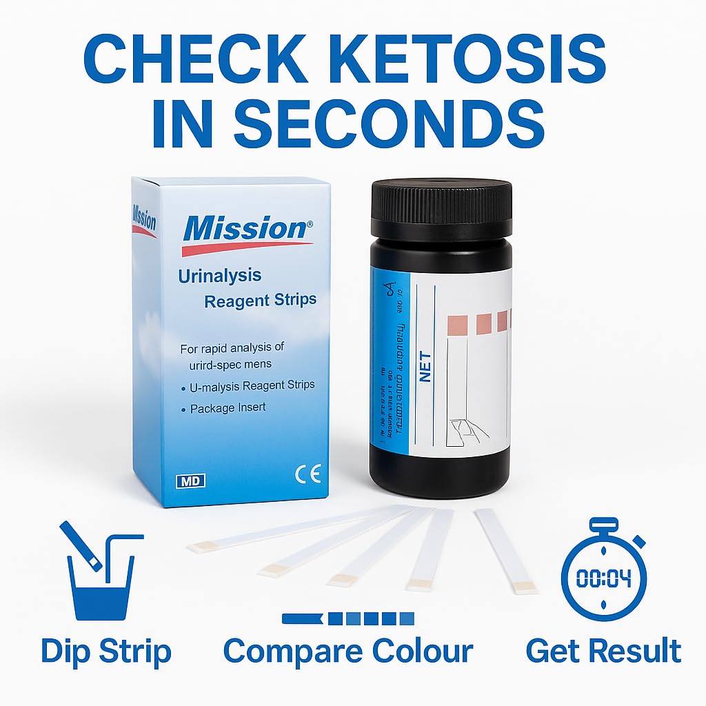 Ketone Teststreifen für Low Carb Keto Diät 100 Streifen Messen Fettverbrennung Ketose Level