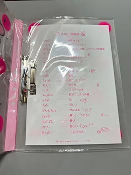 Amazon.co.jp: 酒井法子/のりピーファイル/バインダー : 文房具