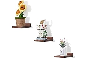 Small Floating Shelf Set for Versatile Display