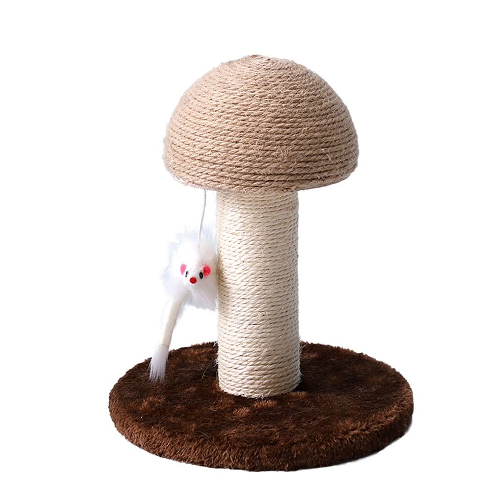 Griffoir pour chat en sisal robuste avec plateformes d'exercice en bois