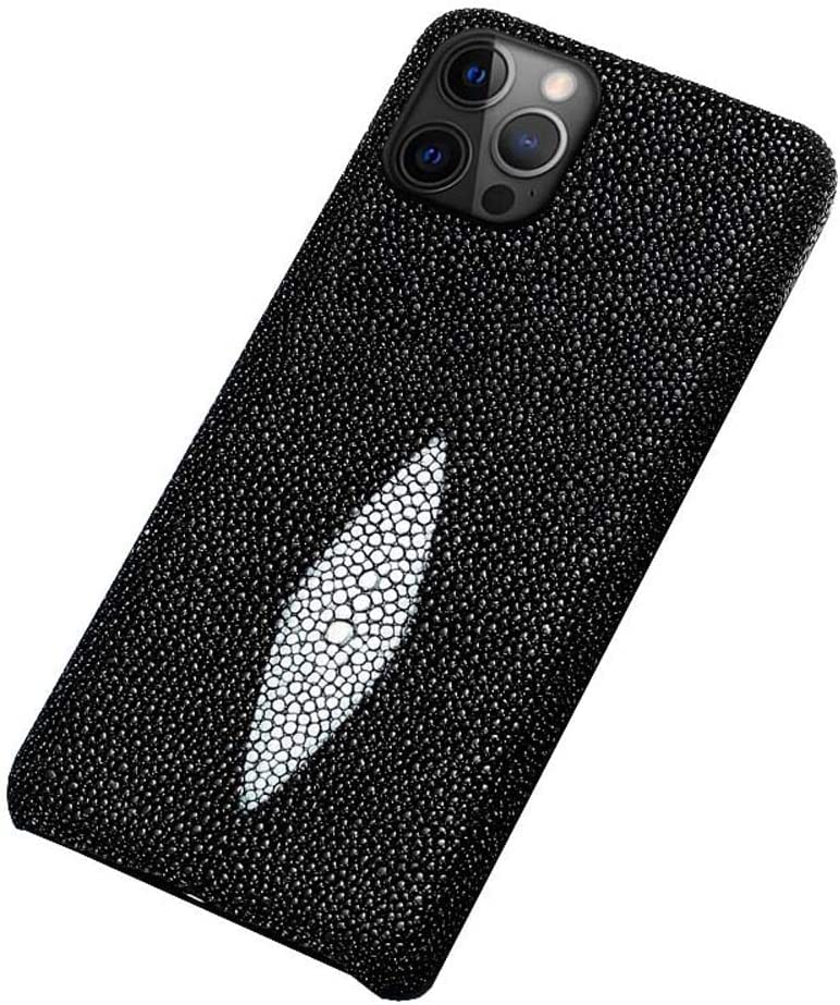 Protection écran et caméra iPhone 13 Pro Max : coque cuir Pearl Fish
