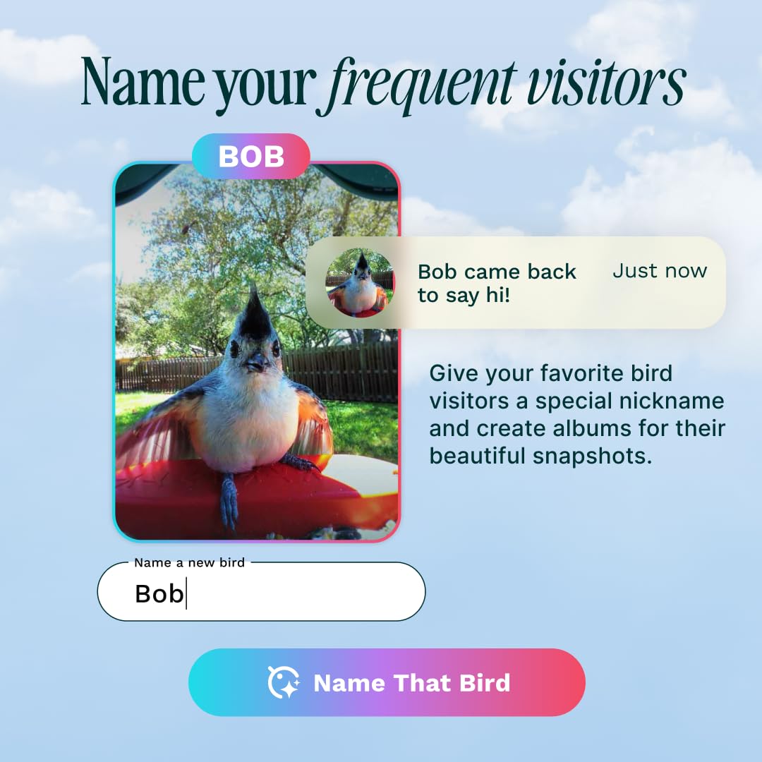 BIRD BUDDY Oryginalny inteligentny karmnik dla ptaków z kamerą zasilaną energią słoneczną, kamera AI o wysokiej rozdzielczości dla pięknych zdjęć z bliska i wyjątkowych wrażeń