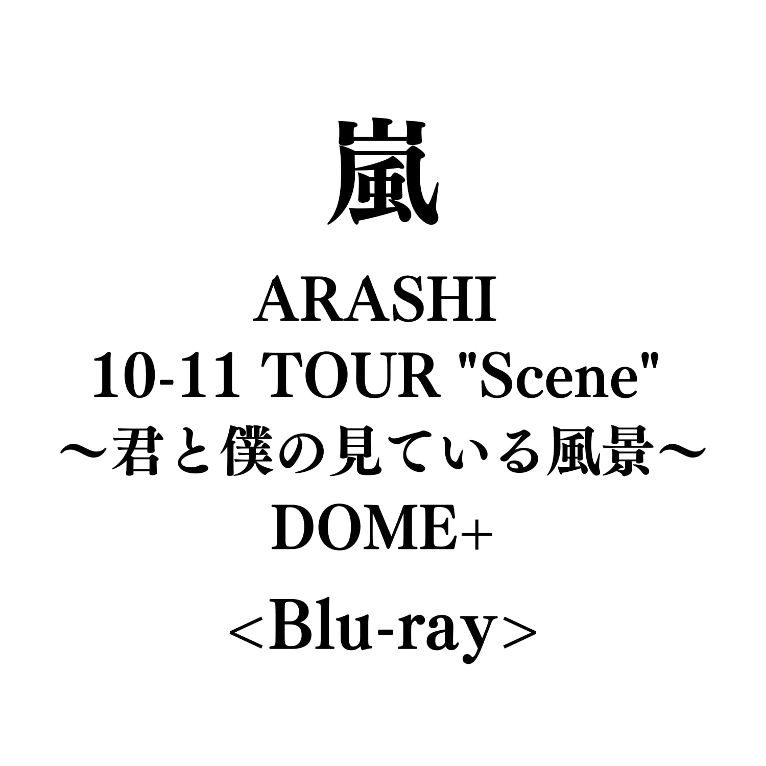 嵐/ARASHI 10-11 TOUR\\"Scene\  他 ARASHI 10-11 TOUR “Scene” ～君と僕の見ている風景～ STADIUM