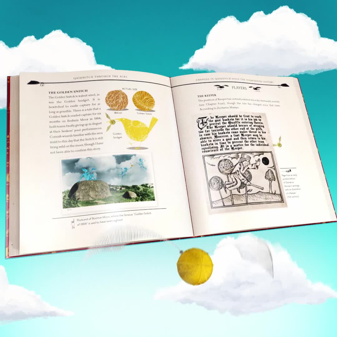 Image of Quidditch Through the Ages: The Illustrated Edition (Harry Potter)