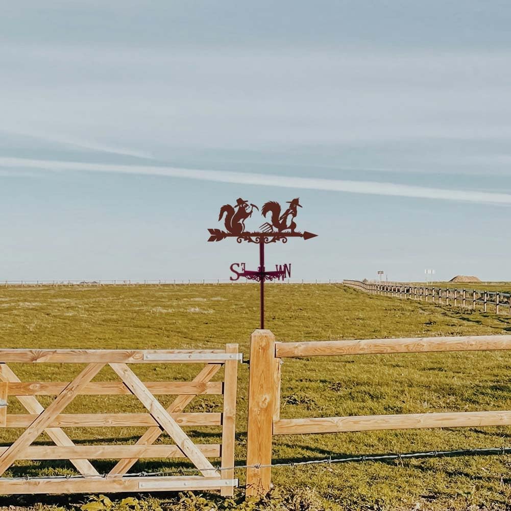 SUPERDANT Squirrel Weather Vane for Roof Mount Vintage Animal Garden Stake Decorative Weathervane Metal Wind Direction Indicator Wind Vane Sign for Farmhouse Yard Outdoor Barn Sheds Patio Copper Red