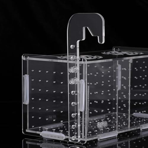 Miniatura 30 de Caja de cría de peces, caja de incubadora de incubadora, cajas de cría de peces de acuario, cajas divisorias para eclosionar, accesorio