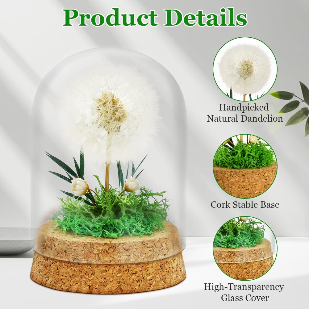 Diente de León Real en Vidrio Regalo,Real Diente de león en Cristal con Tarjeta de Felicitación,Decoración Eterna de Diente de León,Decoración para Cumpleaños,Boda,Consagración