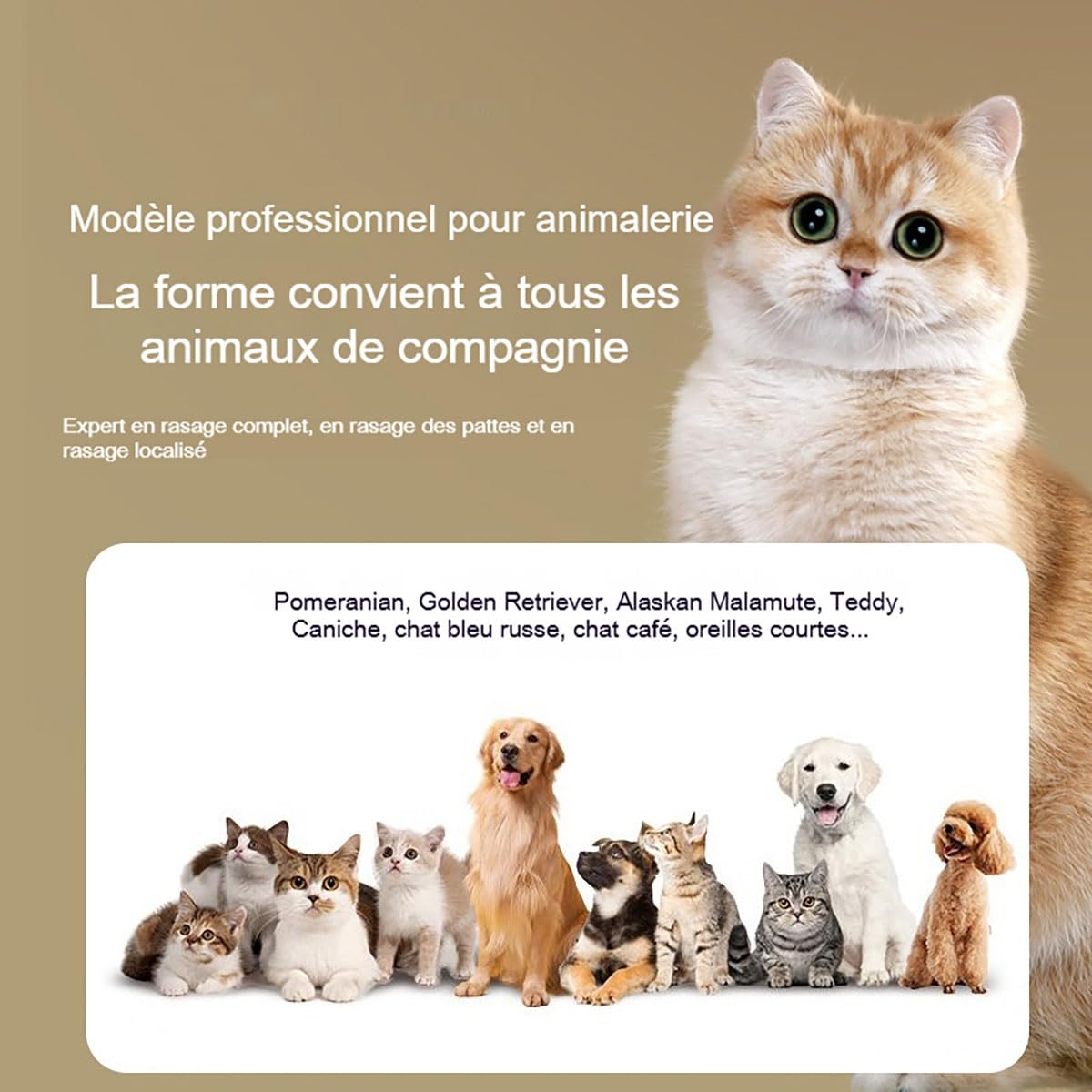 Tondeuse Pour Chien, 2026 Dog Clipper, 2 Vitesses Avec éCran Led，Style 5
