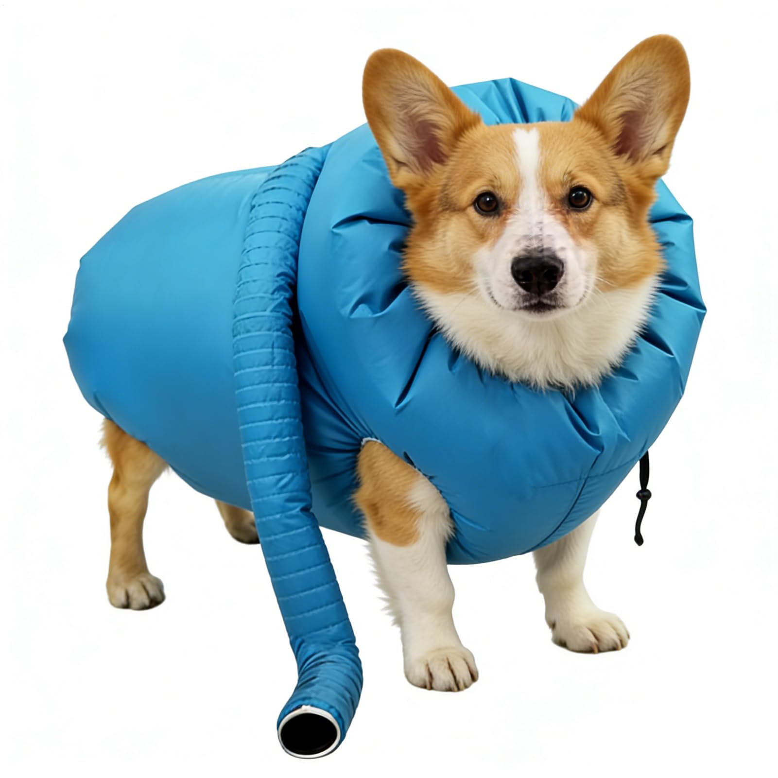 Dayysiuy Dog Dryer Bag | Pet Air Circulation Grooming Sack Suit - Cat Hair Drying Suit | for Shower Bathroom Travel Veterinary Indoor Apartment Home Dormitory